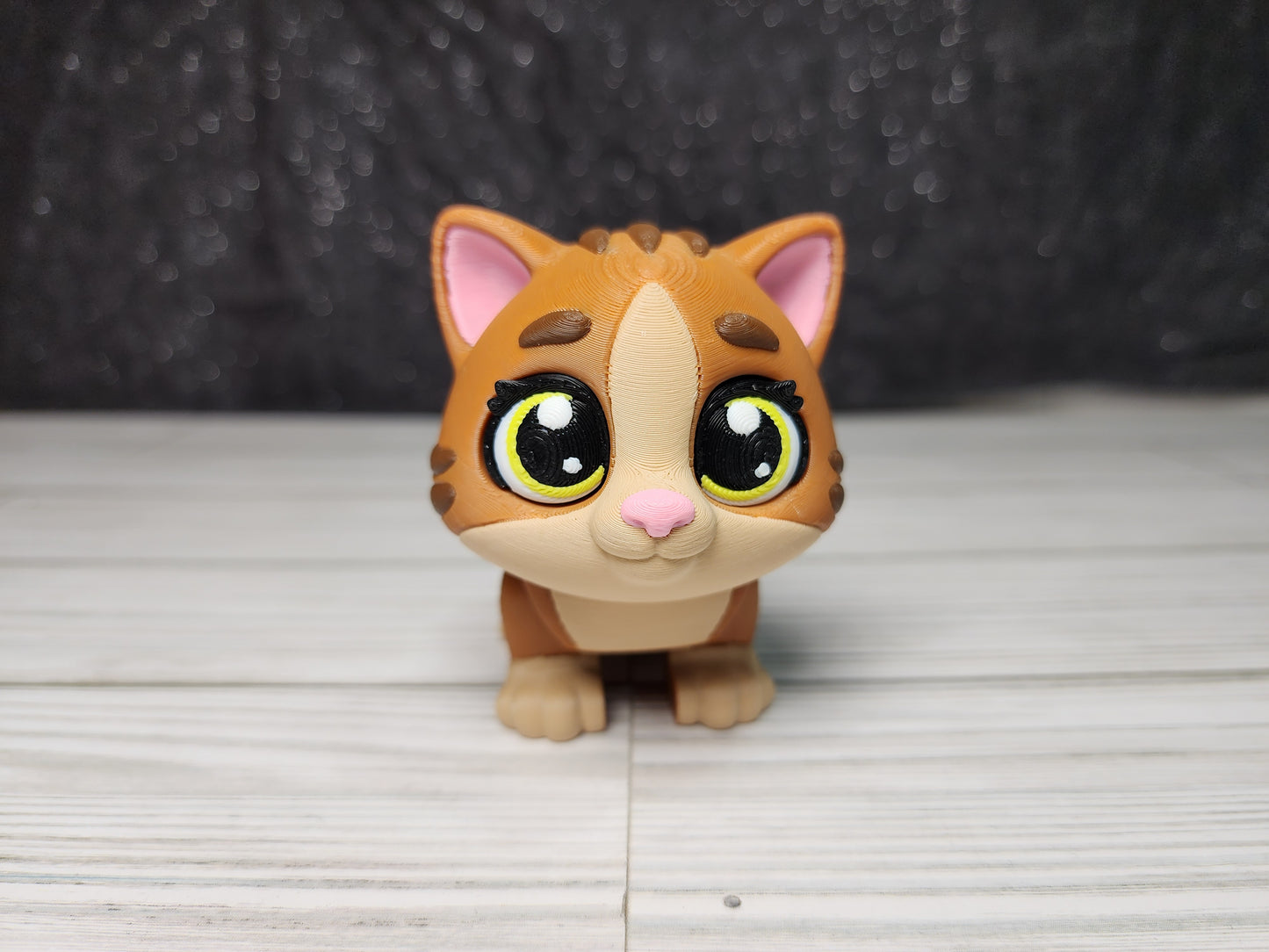 Tabby Cat