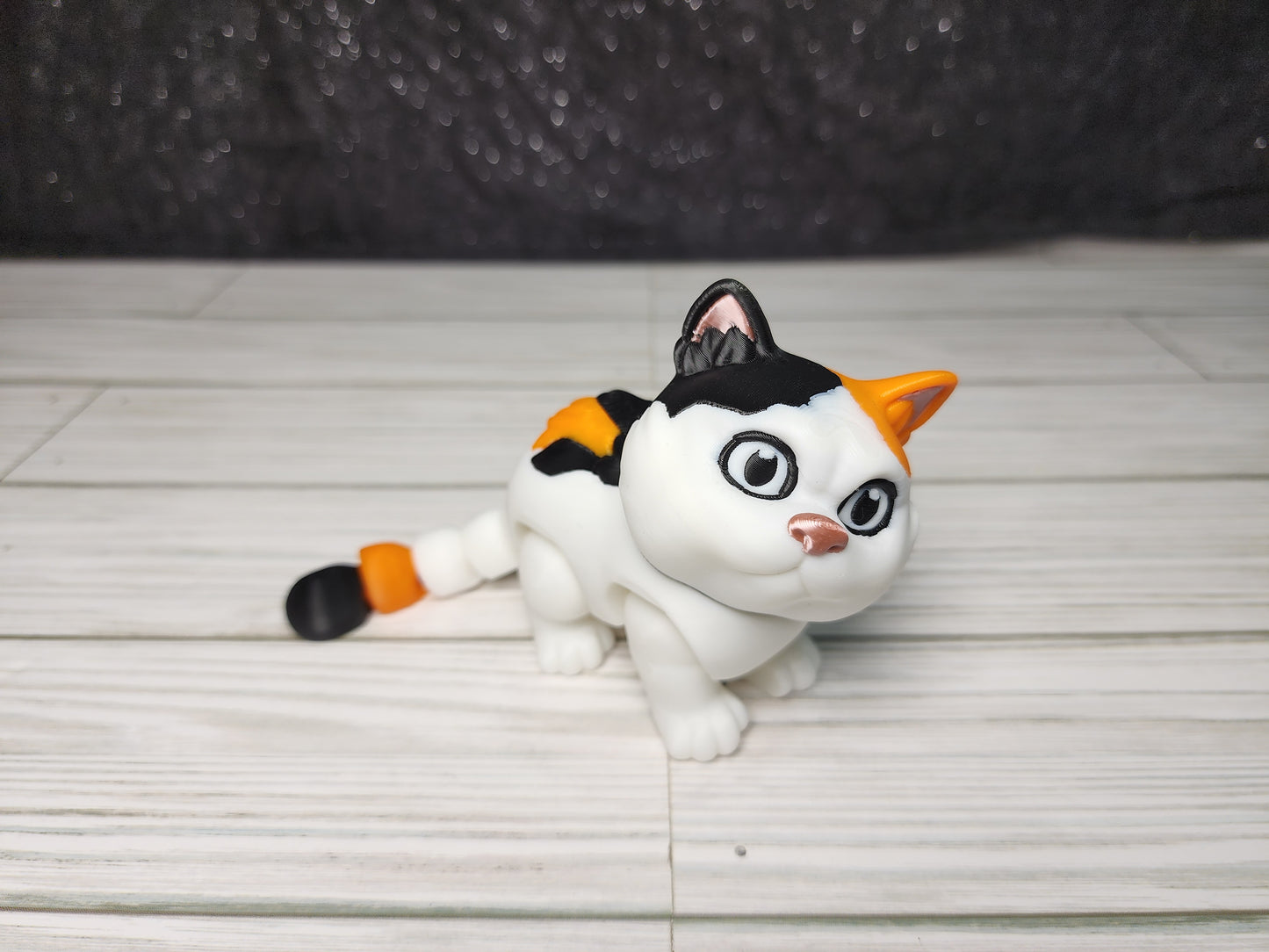 Fluffy Cat