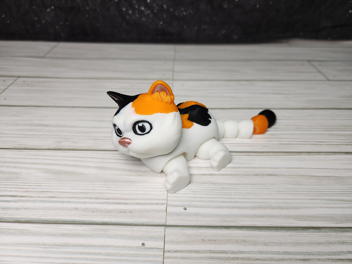 Fluffy Cat