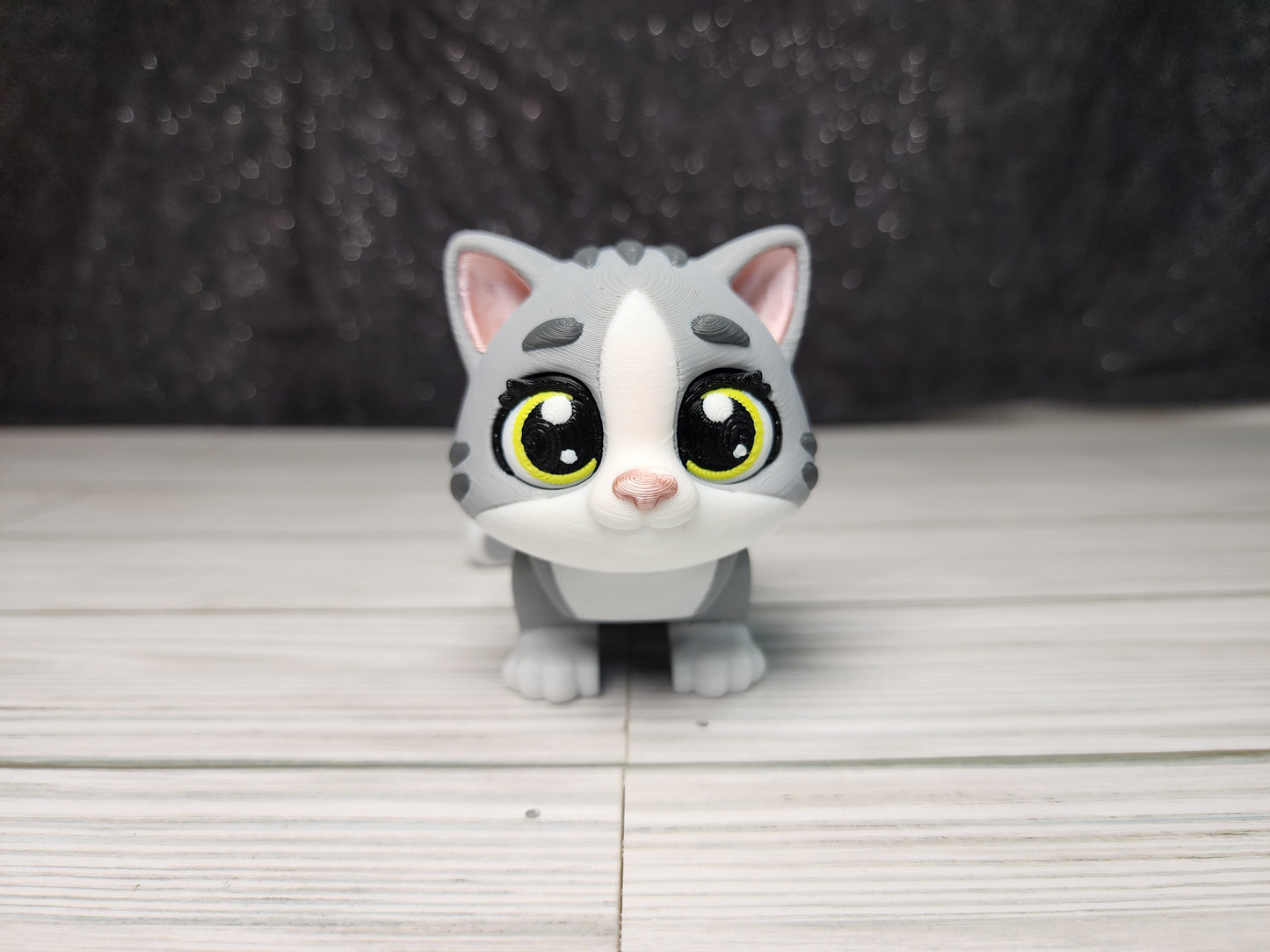 Tabby Cat