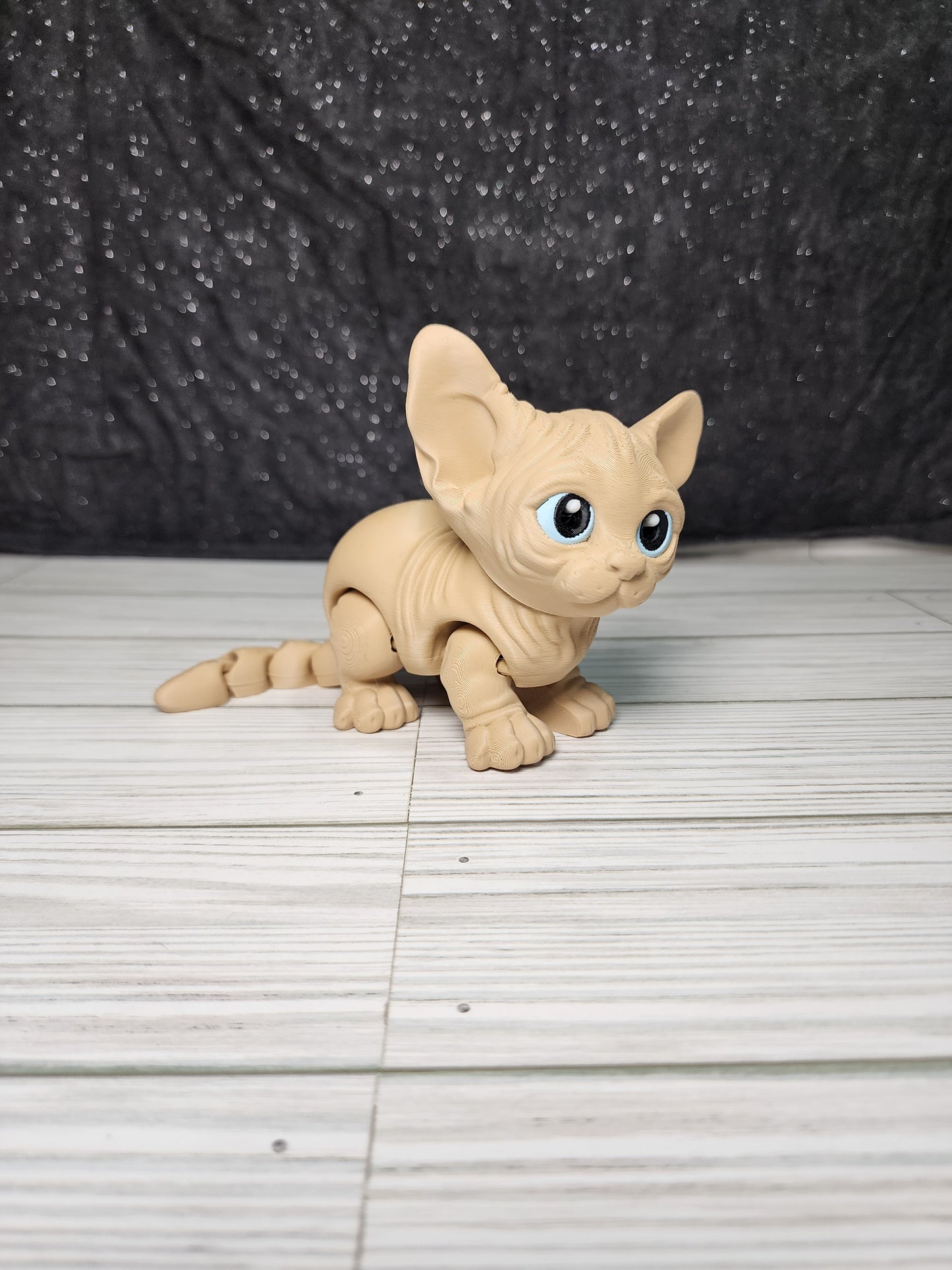 CUSTOM Cat Model