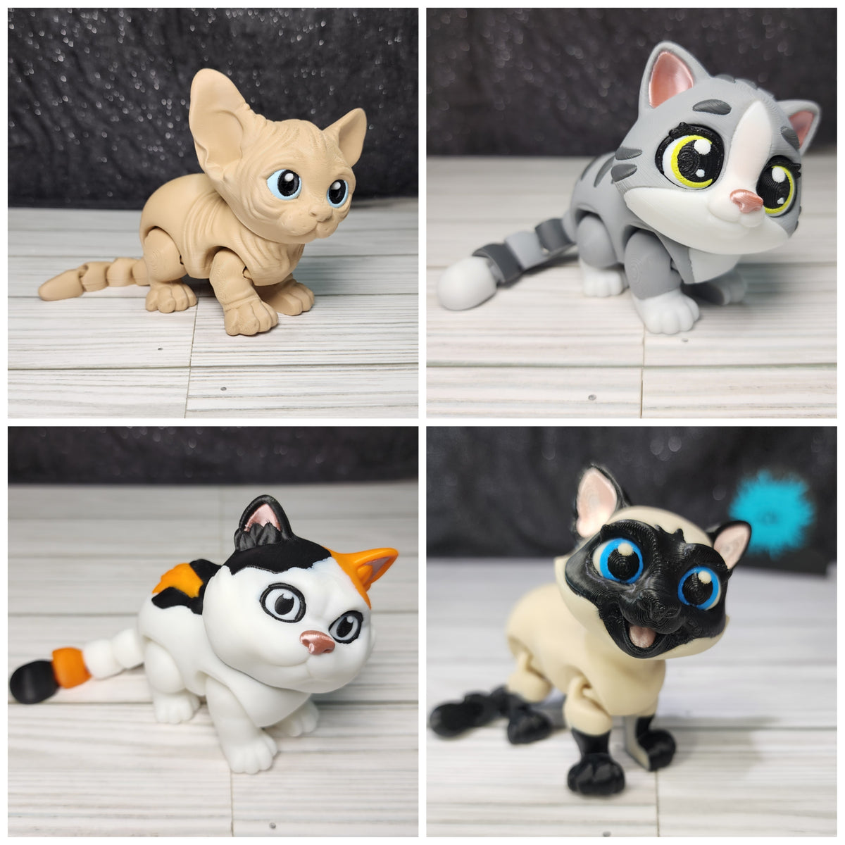 CUSTOM Cat Model
