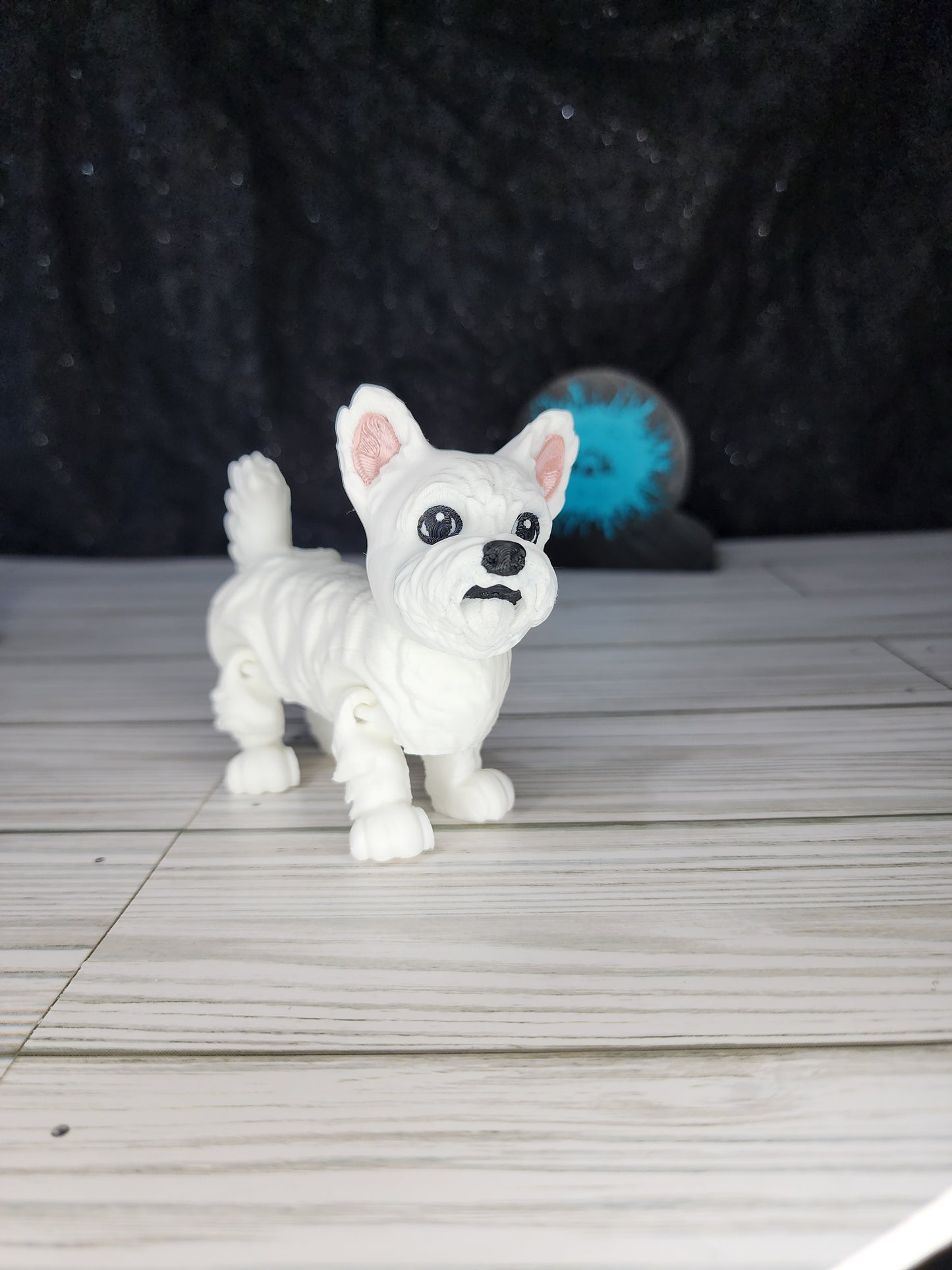 Paint Your Pet Options