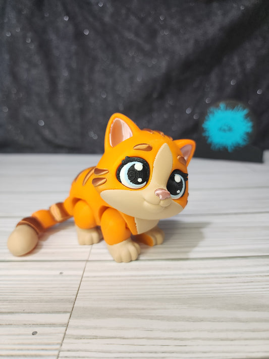 Tabby Cat