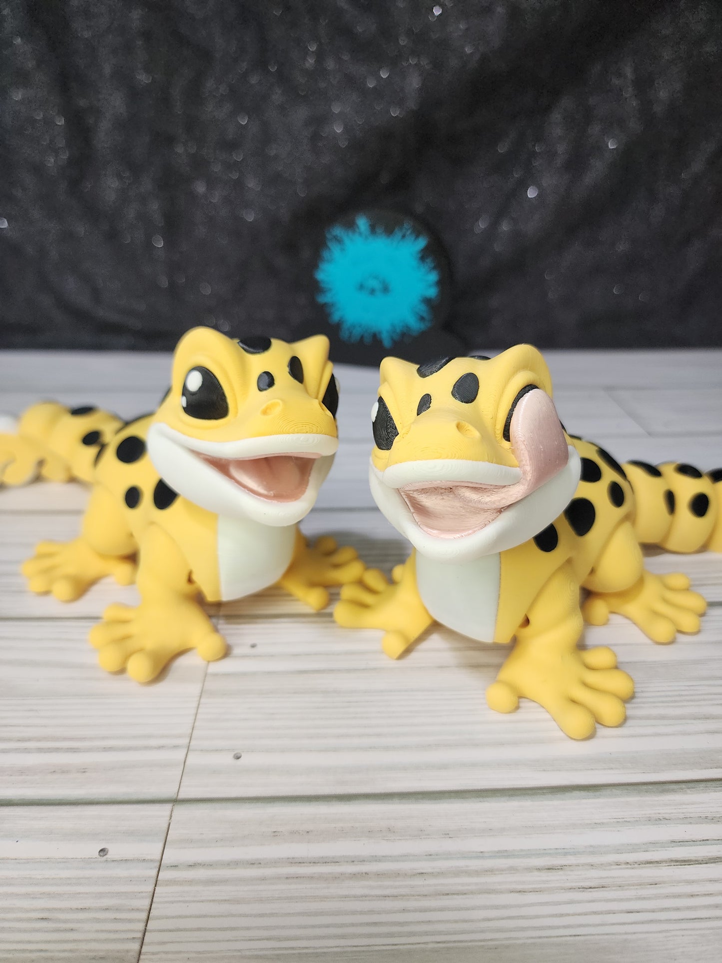 Paint Your Pet Options