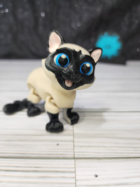 Siamese Cat