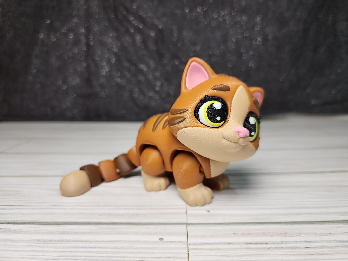 Tabby Cat