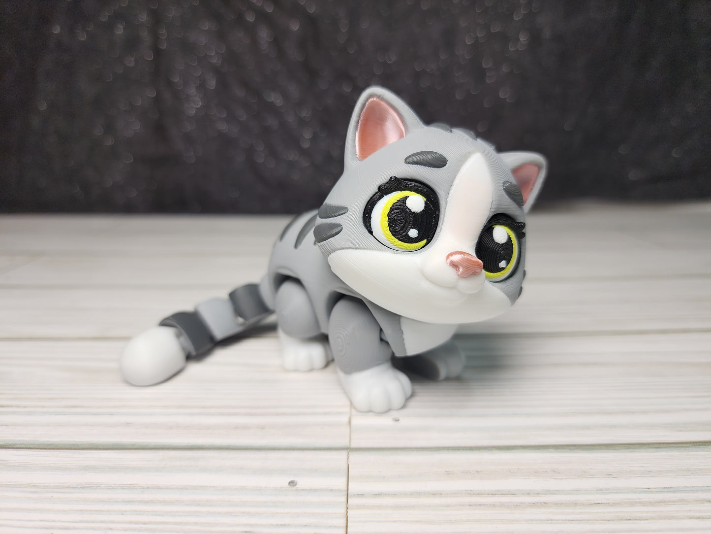 Tabby Cat