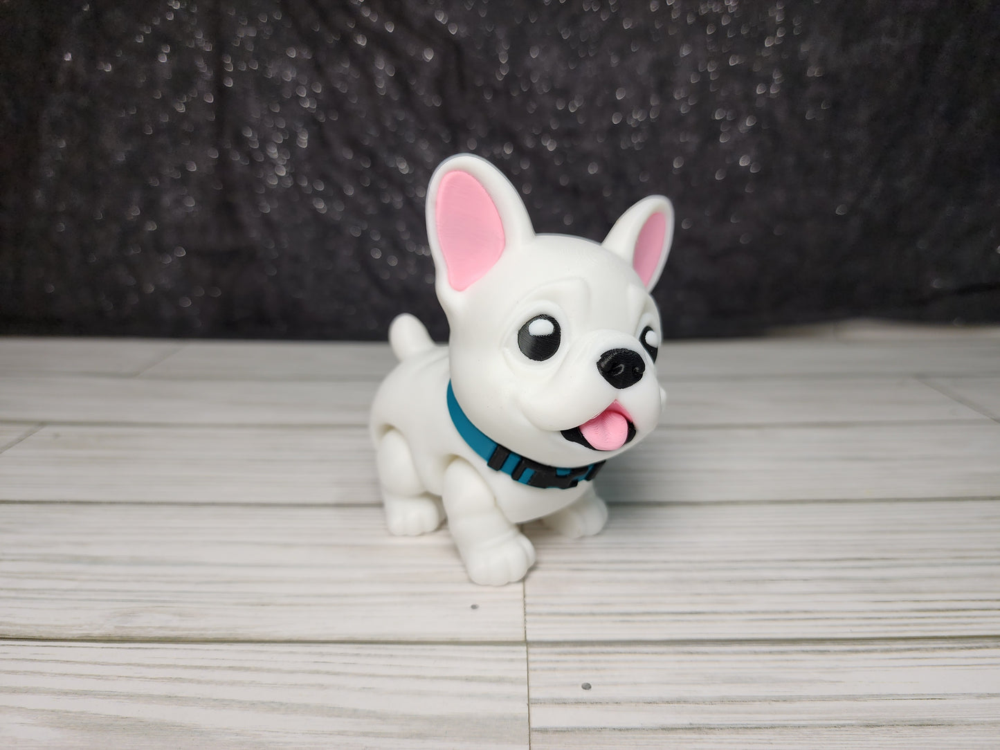 Paint Your Pet Options