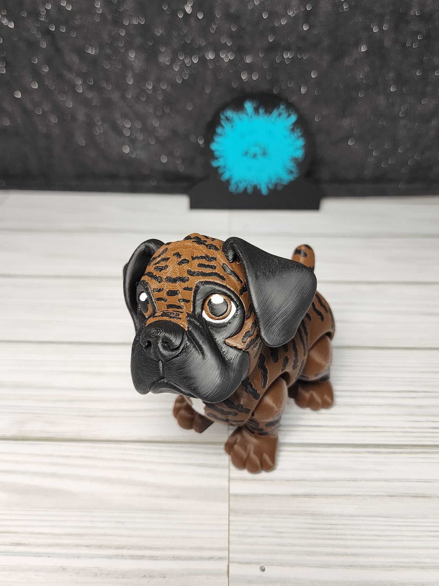 Boxer Dog