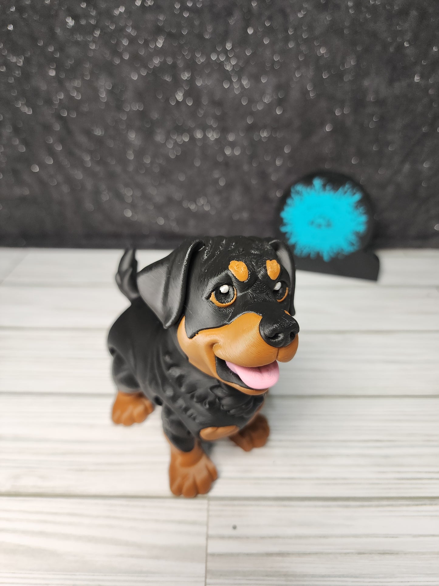Paint Your Pet Options