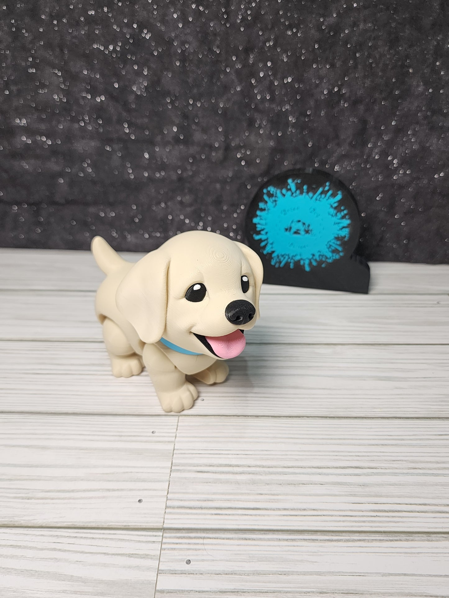 Paint Your Pet Options