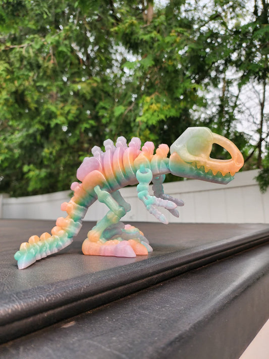 Skeleton T-rex Dinosaur (Large)